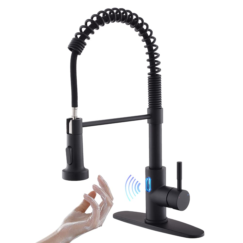 Kitchen Faucet with Pull Down Sprayer Brushed Nickel